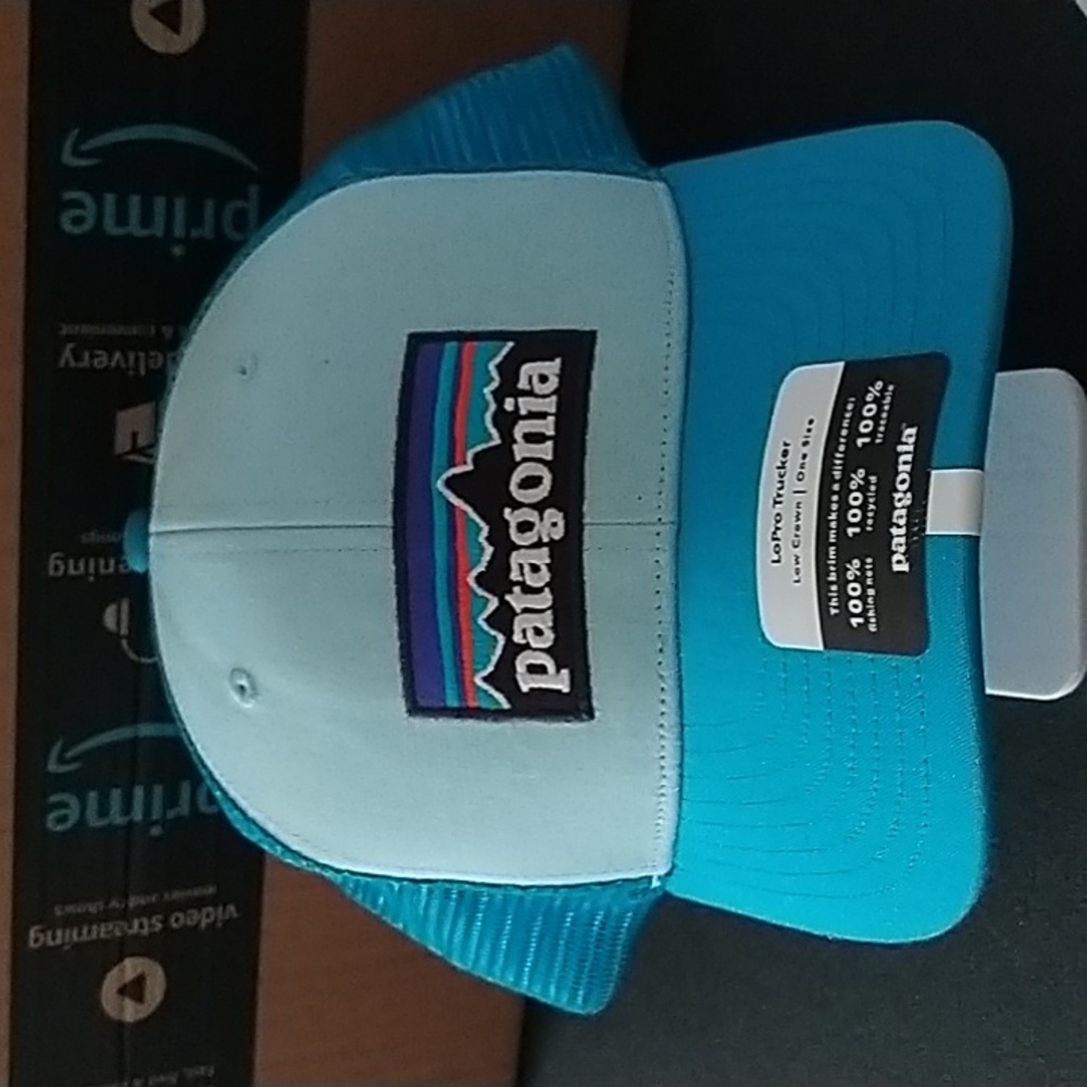 Patagonia snap back